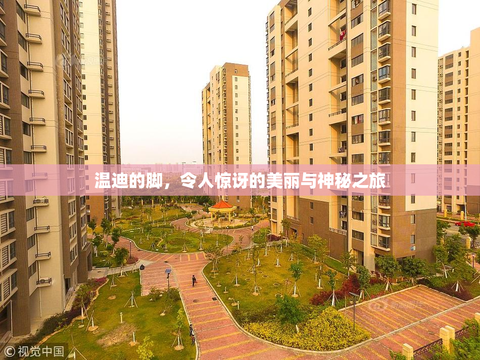 温迪的脚，令人惊讶的美丽与神秘之旅