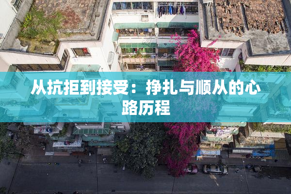 从抗拒到接受：挣扎与顺从的心路历程