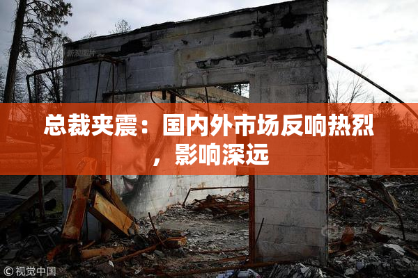 总裁夹震：国内外市场反响热烈，影响深远