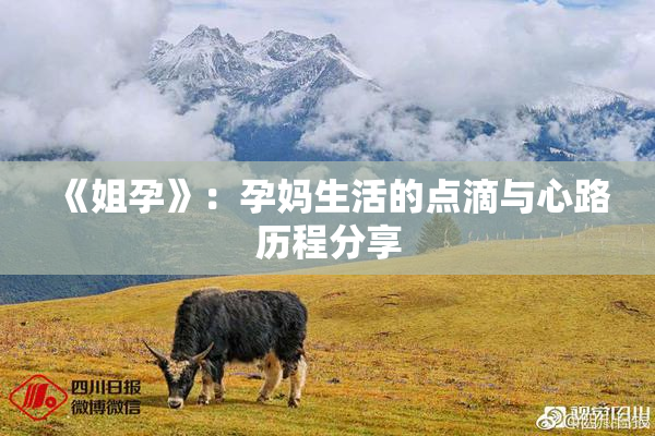《姐孕》：孕妈生活的点滴与心路历程分享