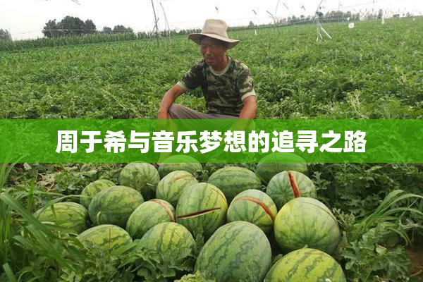 周于希与音乐梦想的追寻之路