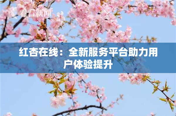 红杏在线：全新服务平台助力用户体验提升