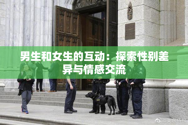 男生和女生的互动：探索性别差异与情感交流