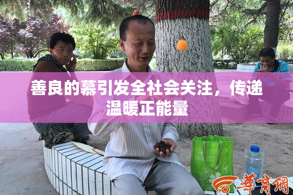善良的慕引发全社会关注，传递温暖正能量