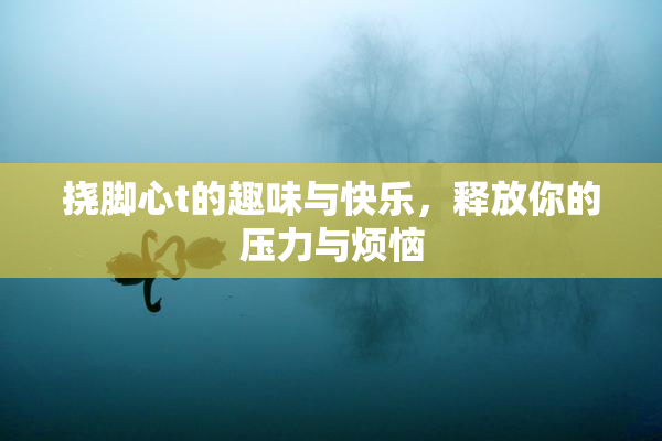 挠脚心t的趣味与快乐，释放你的压力与烦恼