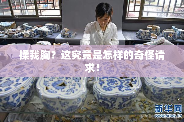 揉我胸？这究竟是怎样的奇怪请求！