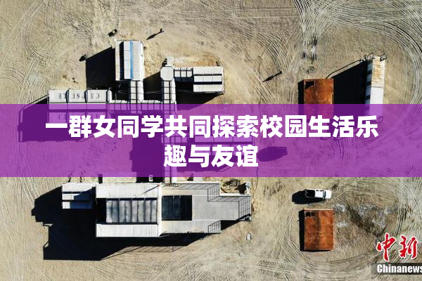 一群女同学共同探索校园生活乐趣与友谊