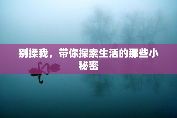 别揉我，带你探索生活的那些小秘密