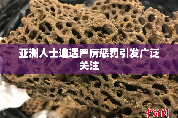 亚洲人士遭遇严厉惩罚引发广泛关注