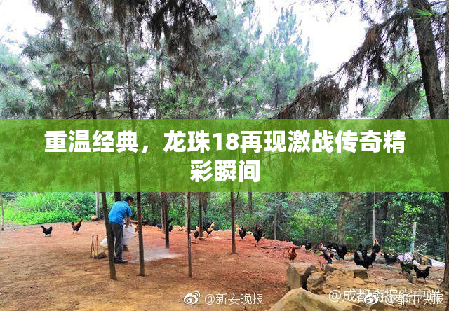 重温经典，龙珠18再现激战传奇精彩瞬间