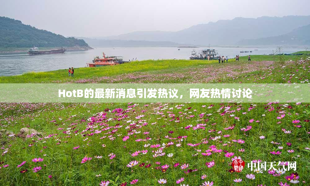 HotB的最新消息引发热议，网友热情讨论