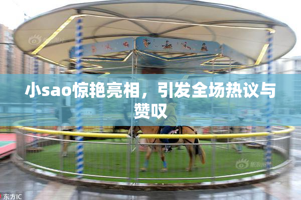 小sao惊艳亮相，引发全场热议与赞叹