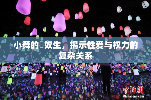 小舞的婬奴生，揭示性爱与权力的复杂关系
