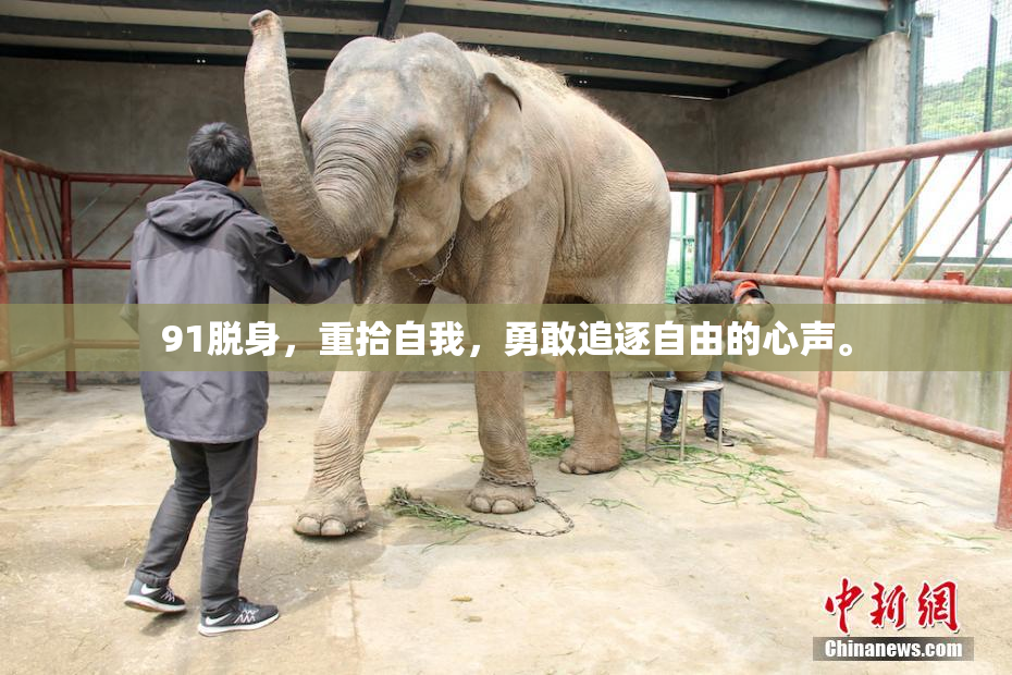 91脱身，重拾自我，勇敢追逐自由的心声。