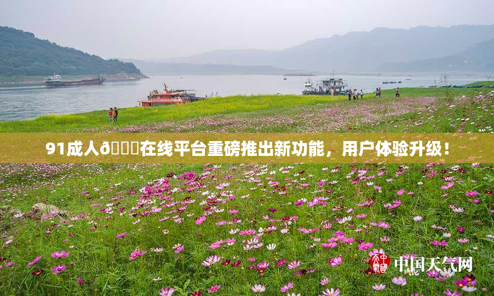 91成人🔞在线平台重磅推出新功能，用户体验升级！
