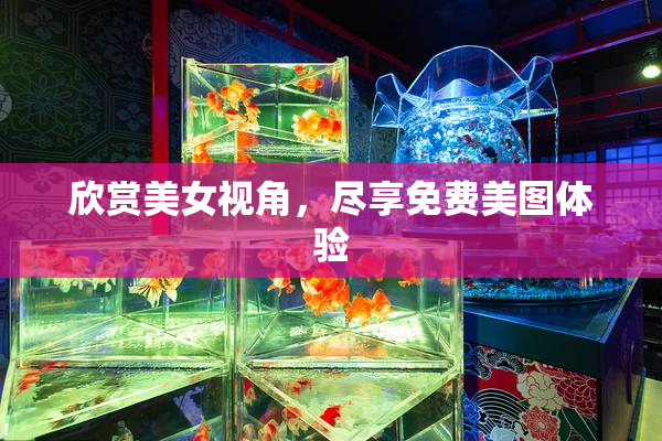 欣赏美女视角，尽享免费美图体验