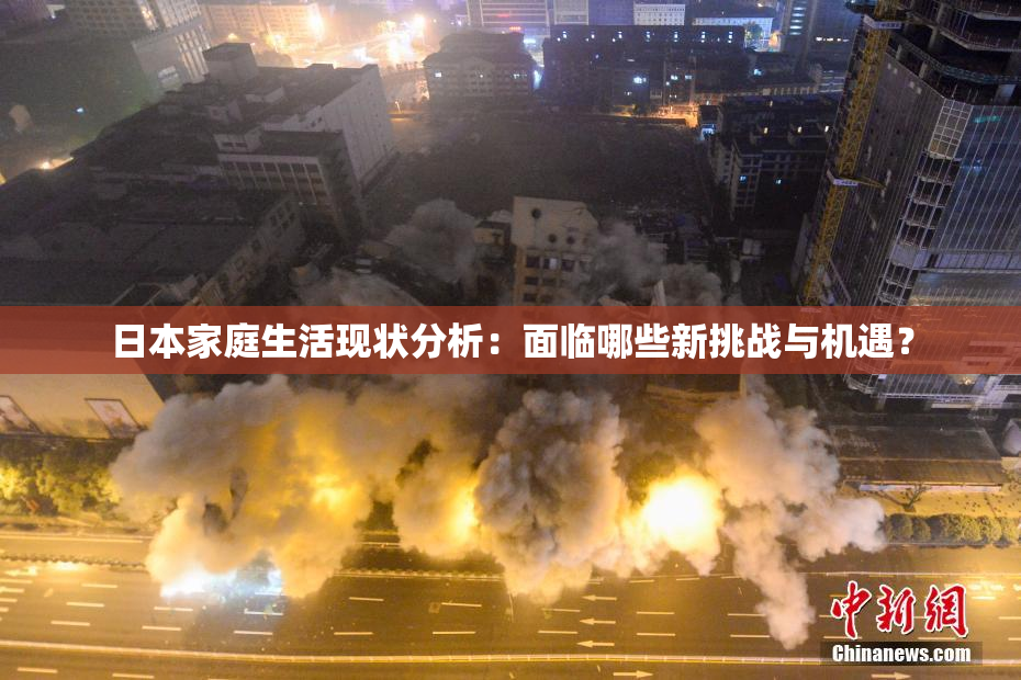 日本家庭生活现状分析：面临哪些新挑战与机遇？