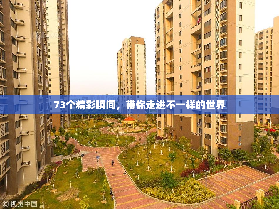 73个精彩瞬间，带你走进不一样的世界