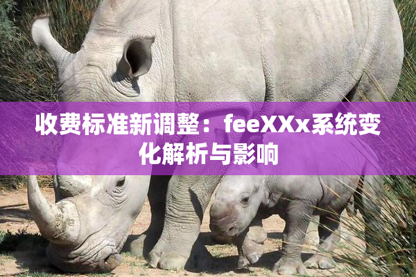 收费标准新调整：feeXXx系统变化解析与影响