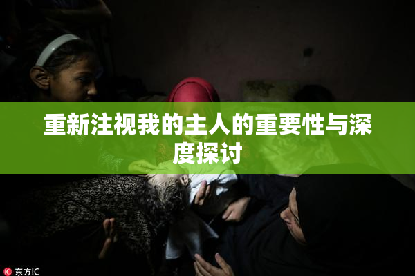 重新注视我的主人的重要性与深度探讨
