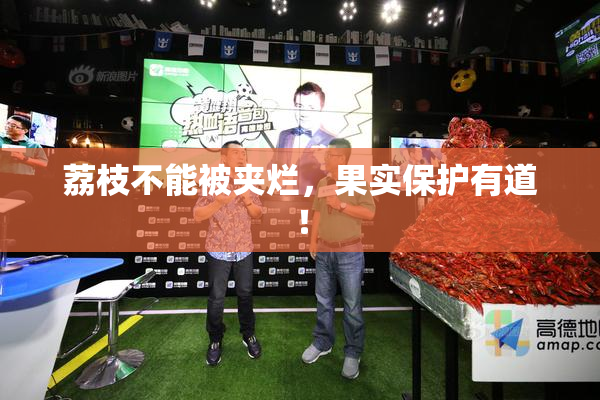 荔枝不能被夹烂，果实保护有道！