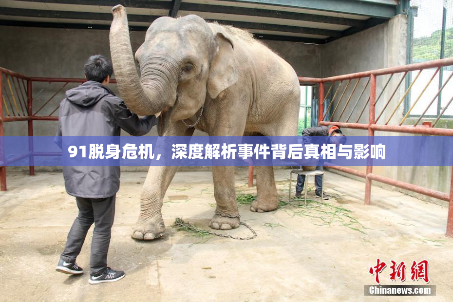 91脱身危机，深度解析事件背后真相与影响