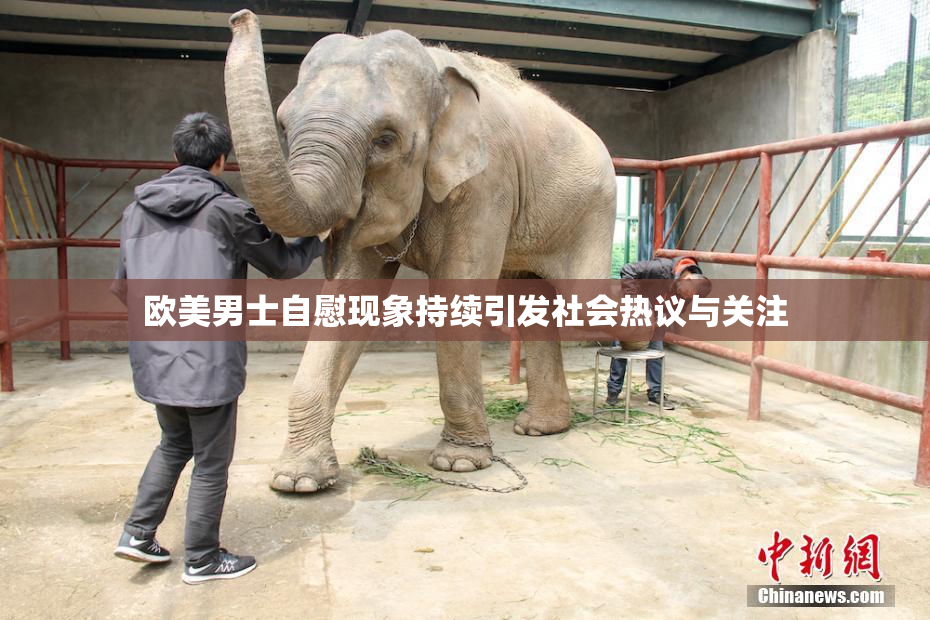 欧美男士自慰现象持续引发社会热议与关注