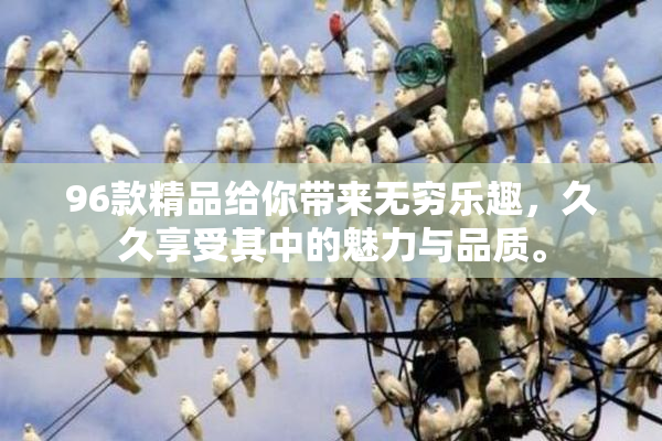 96款精品给你带来无穷乐趣，久久享受其中的魅力与品质。
