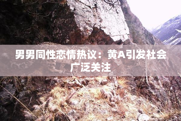 男男同性恋情热议：黄A引发社会广泛关注