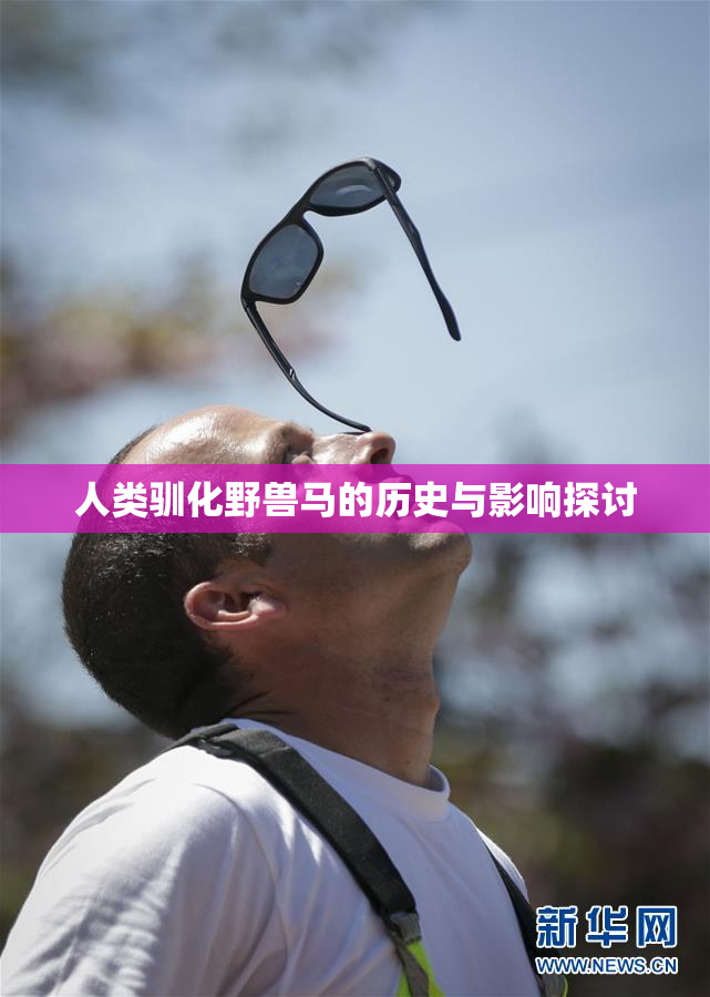 人类驯化野兽马的历史与影响探讨