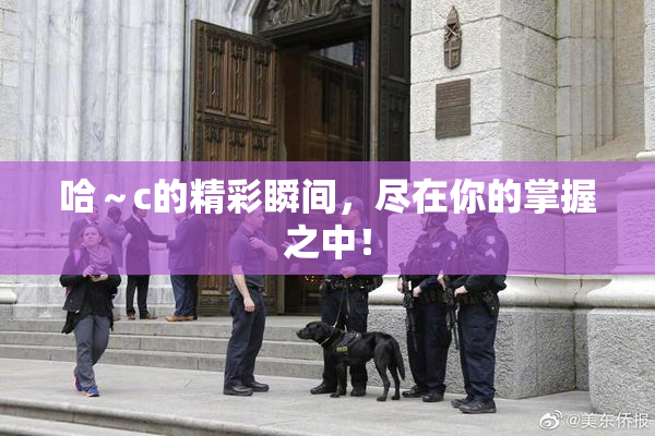 哈～c的精彩瞬间，尽在你的掌握之中！