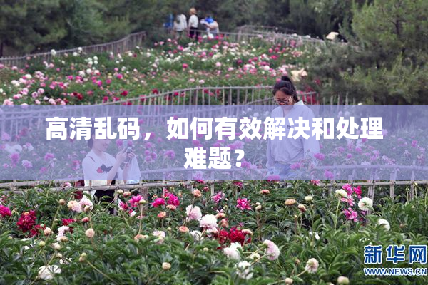 高清乱码，如何有效解决和处理难题？