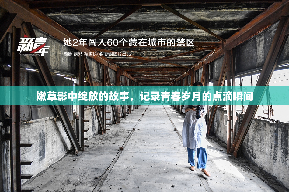 嫩草影中绽放的故事，记录青春岁月的点滴瞬间