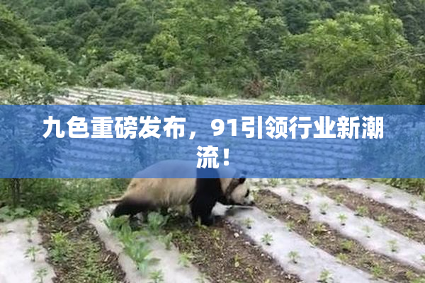 九色重磅发布，91引领行业新潮流！