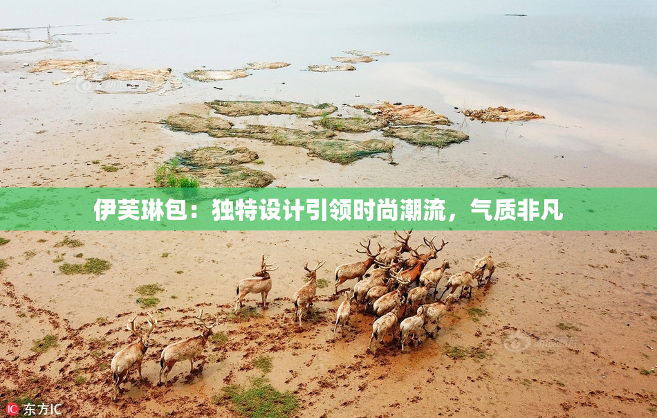 伊芙琳包：独特设计引领时尚潮流，气质非凡