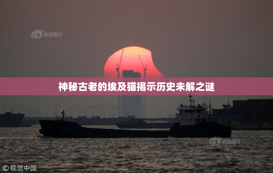 神秘古老的埃及猫揭示历史未解之谜