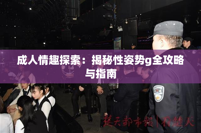 成人情趣探索：揭秘性姿势g全攻略与指南