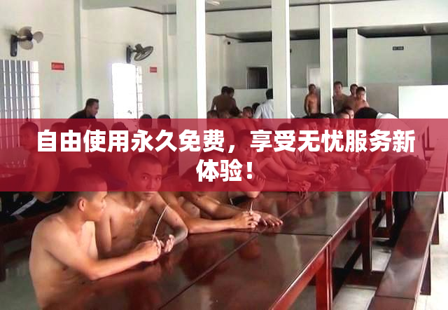 自由使用永久免费，享受无忧服务新体验！