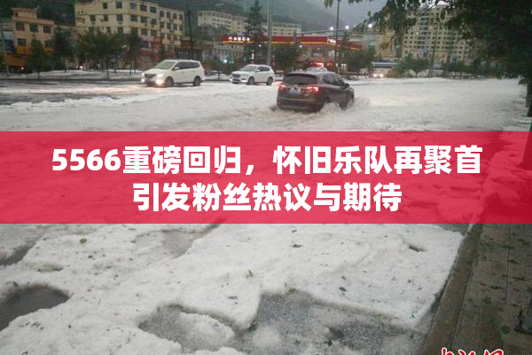5566重磅回归，怀旧乐队再聚首引发粉丝热议与期待