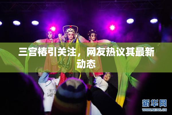 三宫椿引关注，网友热议其最新动态