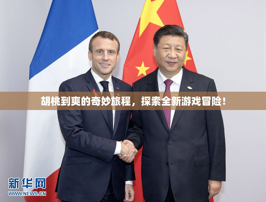 胡桃到爽的奇妙旅程，探索全新游戏冒险！
