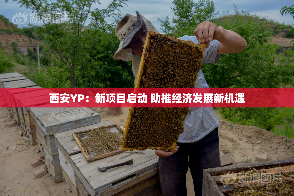 西安YP：新项目启动 助推经济发展新机遇