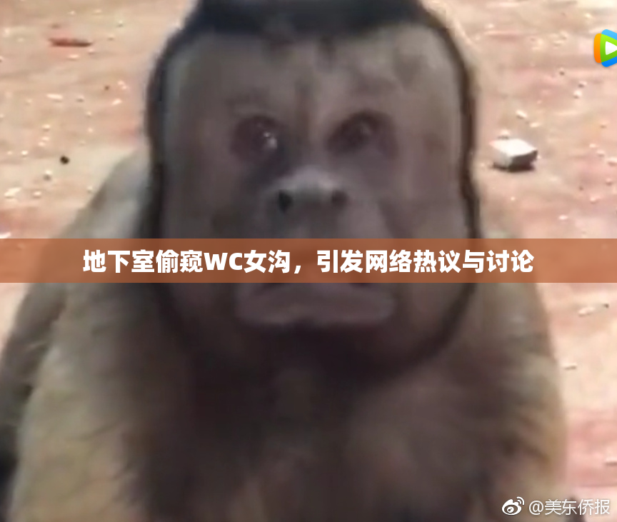 地下室偷窥WC女沟，引发网络热议与讨论