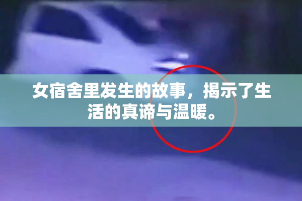 女宿舍里发生的故事，揭示了生活的真谛与温暖。