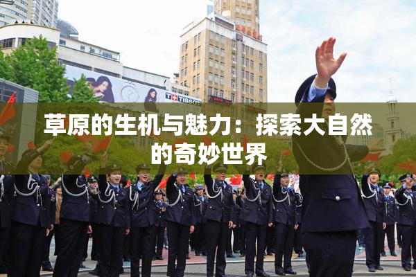 草原的生机与魅力：探索大自然的奇妙世界
