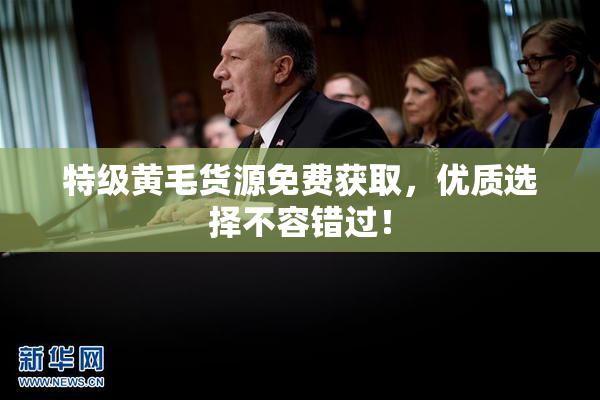 特级黄毛货源免费获取，优质选择不容错过！