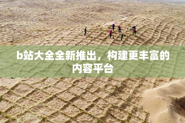 b站大全全新推出，构建更丰富的内容平台