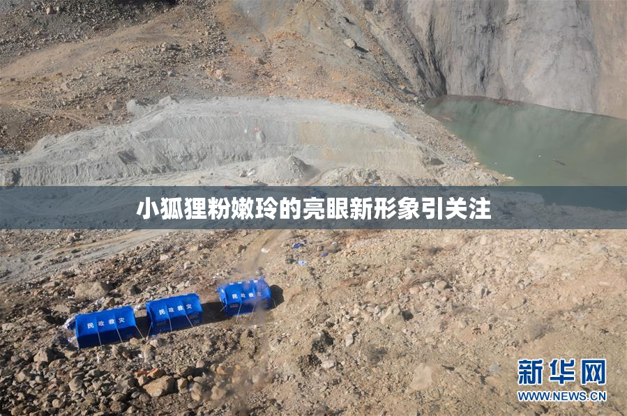 小狐狸粉嫩玲的亮眼新形象引关注