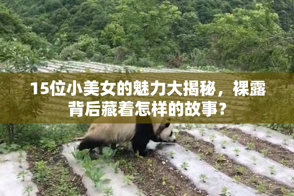 15位小美女的魅力大揭秘，裸露背后藏着怎样的故事？