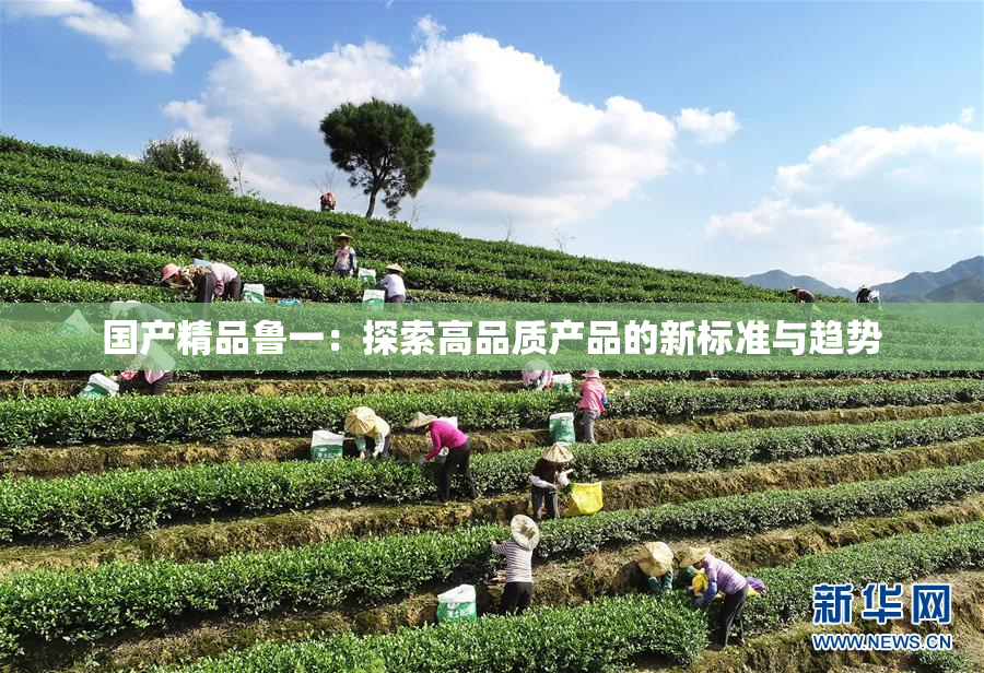 国产精品鲁一：探索高品质产品的新标准与趋势